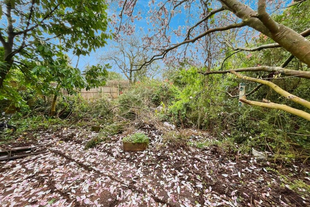Garden before renovation
